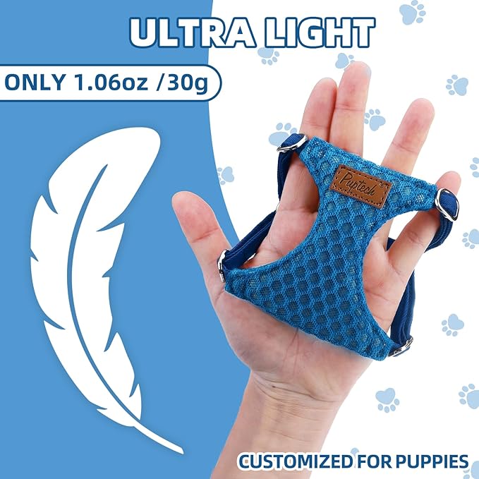 PUPTECK Dog Harness and Leash Set Small Sized, Step-in Cute Puppy Harness, Soft Lightweight Padded Vest, Escape Proof No Pull Pet Harnesses Easy for Walking, Blue, XXS