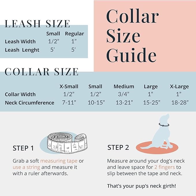 Lucky Love Dog - Easy Click Buckle Dog Collar with Leash Set Combo, Durable & Comfortable for Male & Female Dogs, Pet Collar for Small to Large Dogs, Secure Fit - Leo Combo, Small