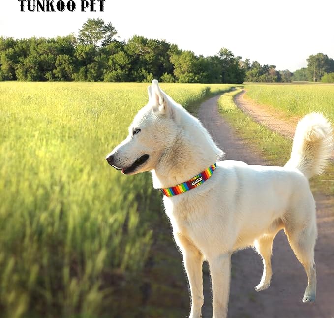 Tunkoo Rainbow Dog Collar, Cute Adjustable Yellow Collar for LGBT Pride Month, Dog Collar with Strong Plastic Buckle - for Small Medium Large Pets, L
