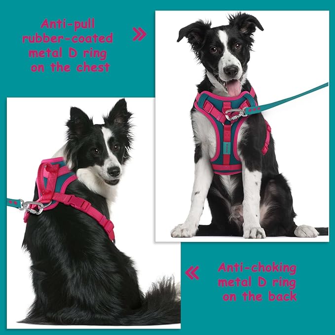 No Pull Dog Harness Adjustable Soft Padded Pet Vest with Control Handle Adorable Daily Harness for Dogs（Viridian Green L）