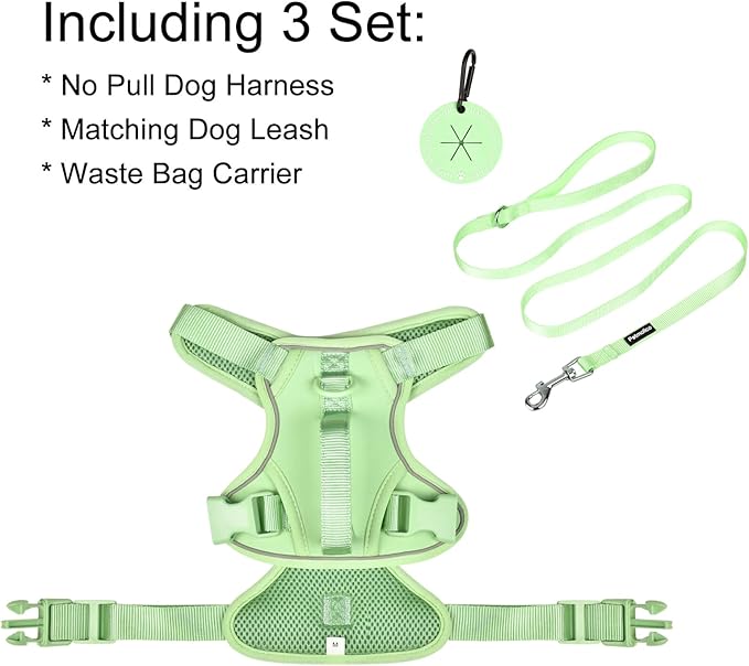Petmolico Dog Harness for Small Dogs, Cute Harness Vest with Two Leash Clips and Soft Handle, Reflective Easy Walk Puppy Vest - Mint Green, Small