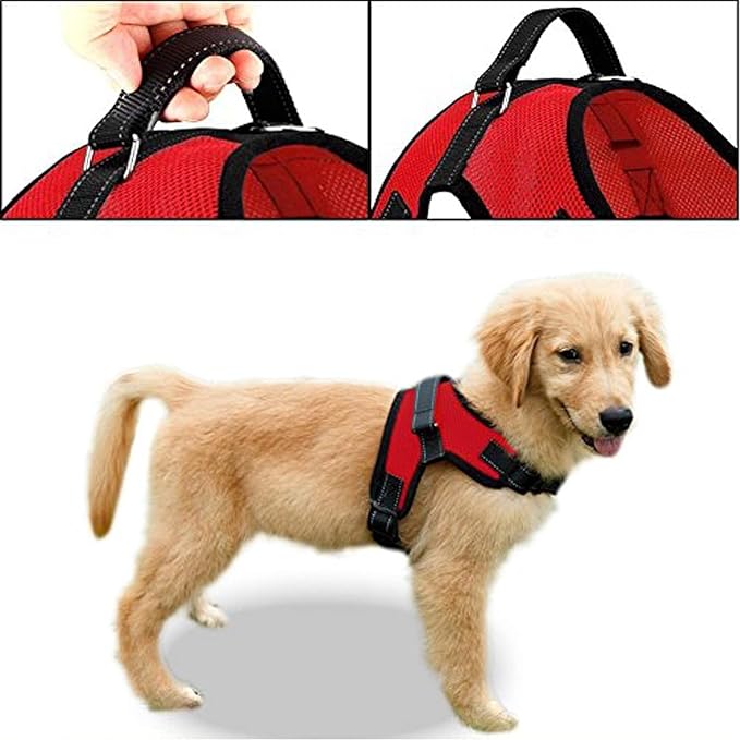 No Pull Reflective Adjustable Dog Harness with Handle- Comfortable Soft All Weather Mesh, Easy On Puppy Harness for Small Medium and Large Dogs (Red) XX-Small