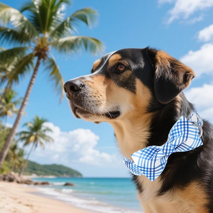 Unique style paws Cotton Dog Collar with Bow Spring Summer Collar with Blue White Grid for Small Medium Large Boys Girls Dogs