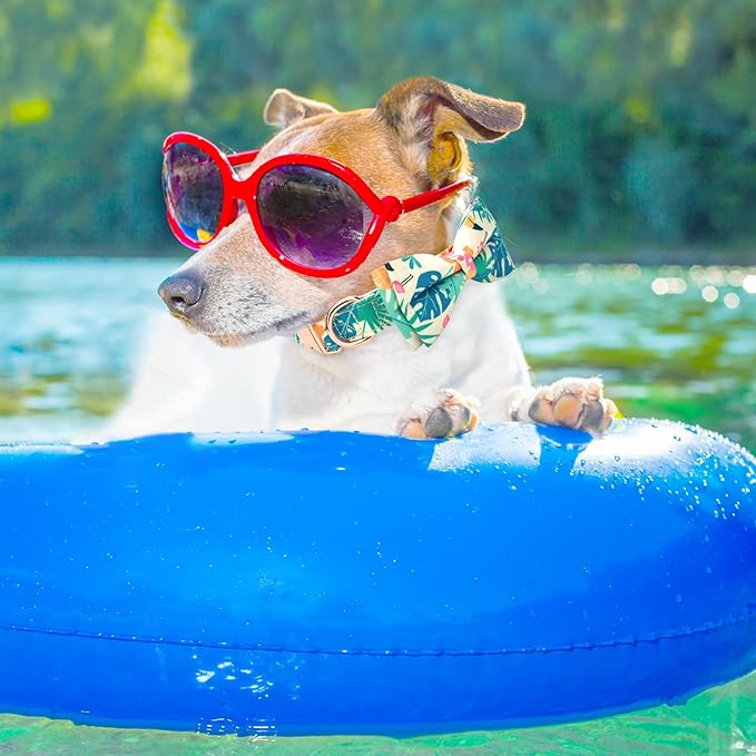 Adjustable Bow Tie Dog Collar Printed Cute Patterns Spring Summer Soft Pet Collars for Small Medium Large Dogs