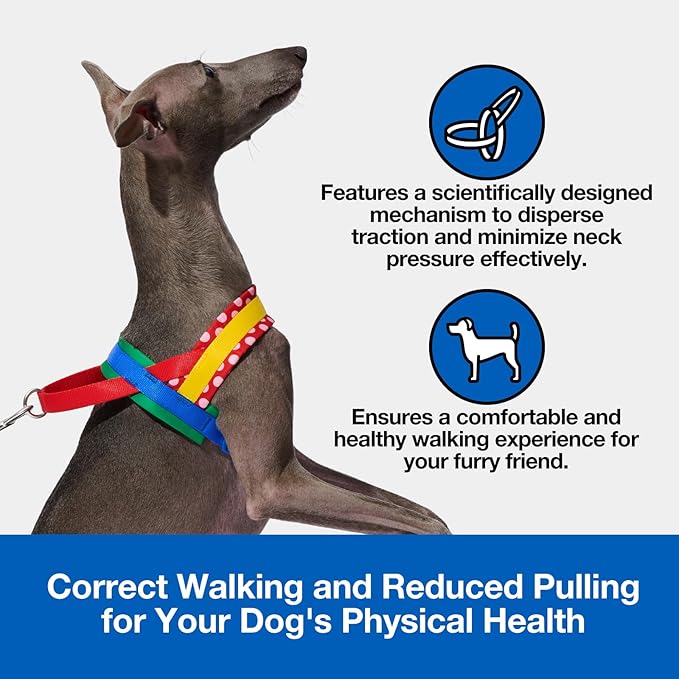 VETRESKA MoMA Dog Harness and Leash Set, Easy Walk Dog Harness for Large Dogs, No Pull Puppy Harness for Walking and Training, Adjustable, Take Control & Anti-Twist Pet Lead Combo(Red, L)