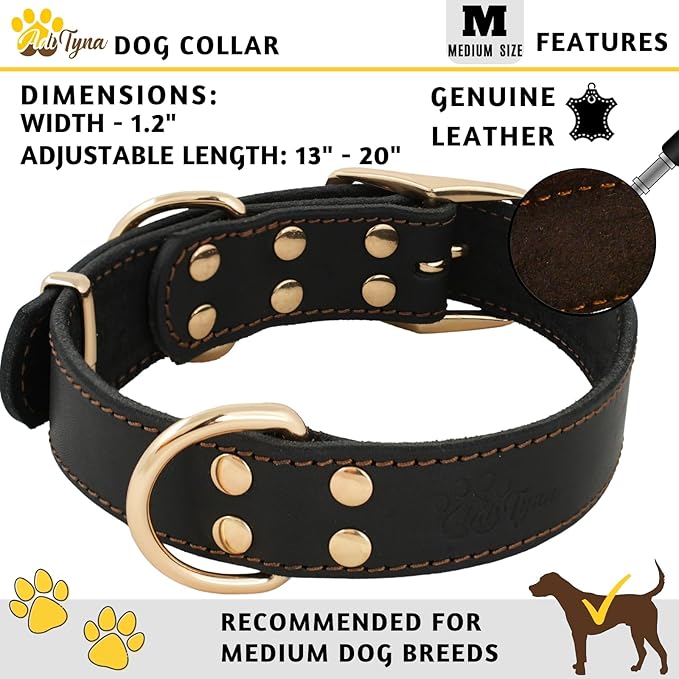 ADITYNA Heavy Duty Leather Dog Collar for Medium Dogs - Soft and Strong Leather Collar for Walking, and Training (Black - Gold Colored Buckle, Medium: Fit 13" - 20" Neck)