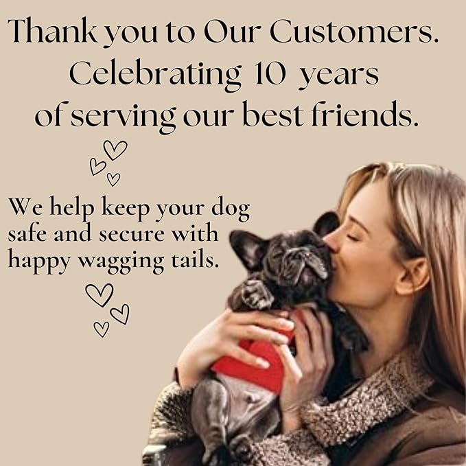 EcoBark Step in Dog Harness - Eco-Friendly Dog Harnesses for XS, Small, and Medium Breed Dogs - Reflective and Adjustable Body Halter Vest - Soft Luxurious Mesh Toy Breed Harness (Black, Medium)