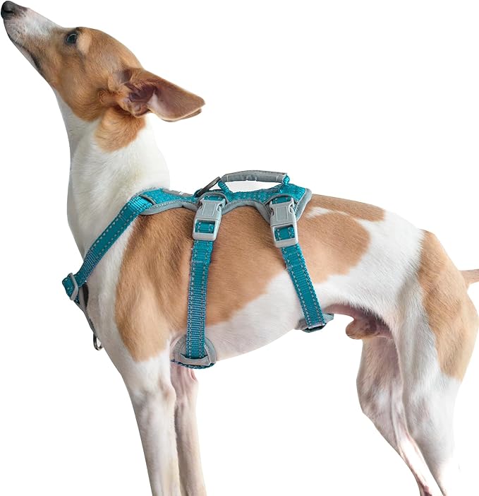 Escape Proof Dog Harness, Escape Artist Harness, Fully Reflective Harness with Padded Handle, Breathable,Durable, Adjustable Vest for Medium Dogs Walking, Training, and Running Gear (Teal,XS)