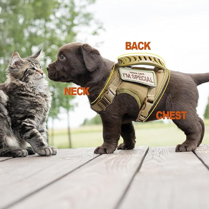 Tactical Cat Harness for Walking Escape Proof, Adjustable Pet Vest Harness, Soft Mesh with Control Handle for Large Cat Small Dog, Gift with Patch (Camouflage, cat Harness and Leash Set)