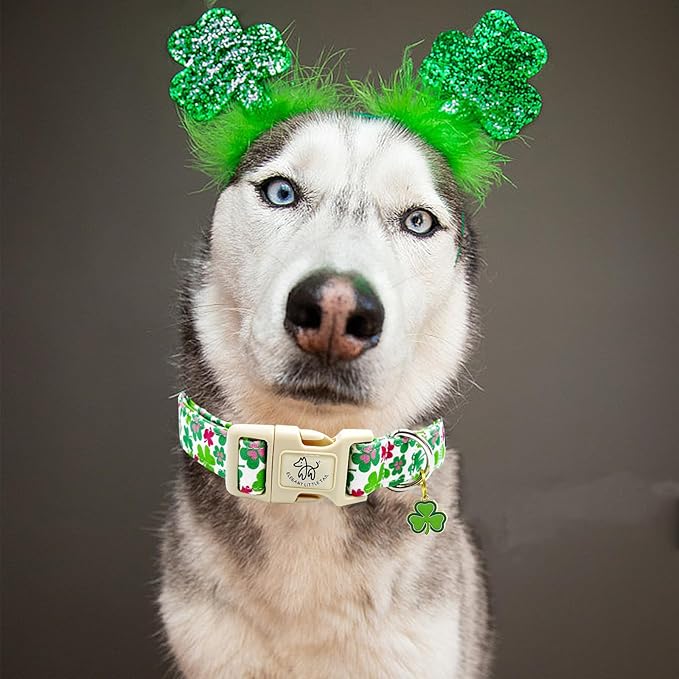 Elegant little tail St Patrick's Dog Collar-Green Cute Colver Cotton Shamrock Pet Collar Trefoil Holiday Adjustable Cotton Pet Collar with Quick Release Buckle for Small Medium Large Dogs