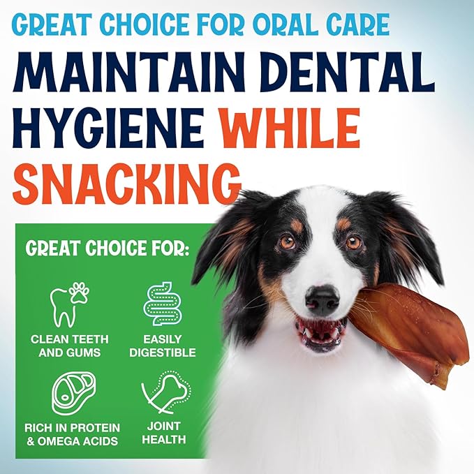 Whole Pig Ears for Dogs Large - 15 Pack Long Lasting Dog Chews – Dog Treats One Ingredient Delicious All Natural Flavor – Easy to Digest Dog Treats for Large Dog - Great for Teeth and Gums