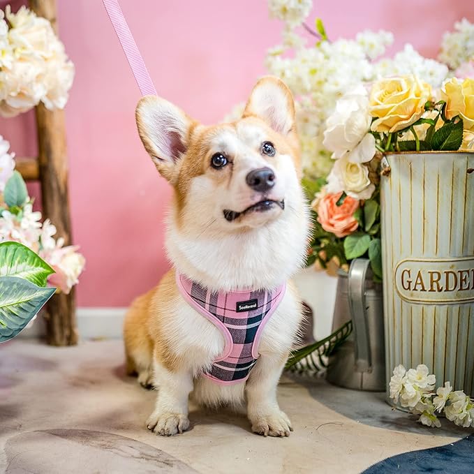 SCENEREAL Puppy Dog Harness with Leash Set for Small Medium Sized Dogs, Soft Mesh Step in Pet Harnesses and Leash, No Chock Plaid Adjustible No Pull Vest for Dogs Cats, Chihuahua,Bulldog (Pink M)