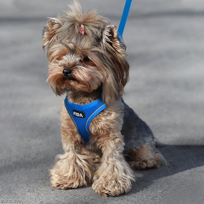 Fida Comfy Dog Harness with Leash, Soft Puppy Vest Escape Proof, Breathable Lightweight Soft Mesh, Adjustable Reflective Step-in Harness for Small & Medium Pet Walking (M, Blue)