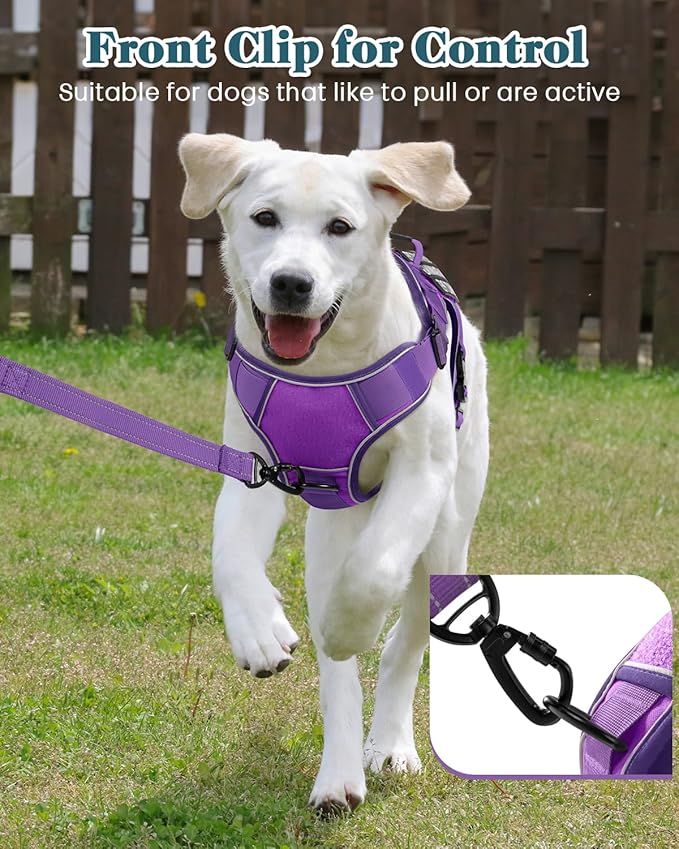 Reflective Purple Service Dog in Training Vest Harness for Medium Dogs, Adjustable Heavy Duty Padded Dog Harness, with Front Clip and Metal Buckles Do Not Pet for Training, Hiking