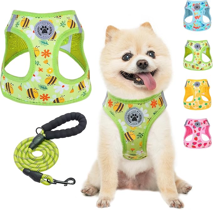 BEAUTYZOO Step in Dog Harness and Leash Set,Reflective Dog Harness No Pull No Choke Puppy Harness for Small Medium Large Dogs Cats,Soft Padded Mesh Vest Harnesses for Girl and Boy Pets, Bee XS