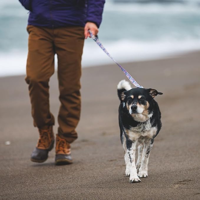 Ruffwear, Front Range Dog Leash, 5 ft Lead with Padded Handle for Everyday Walking, Deep Jungle