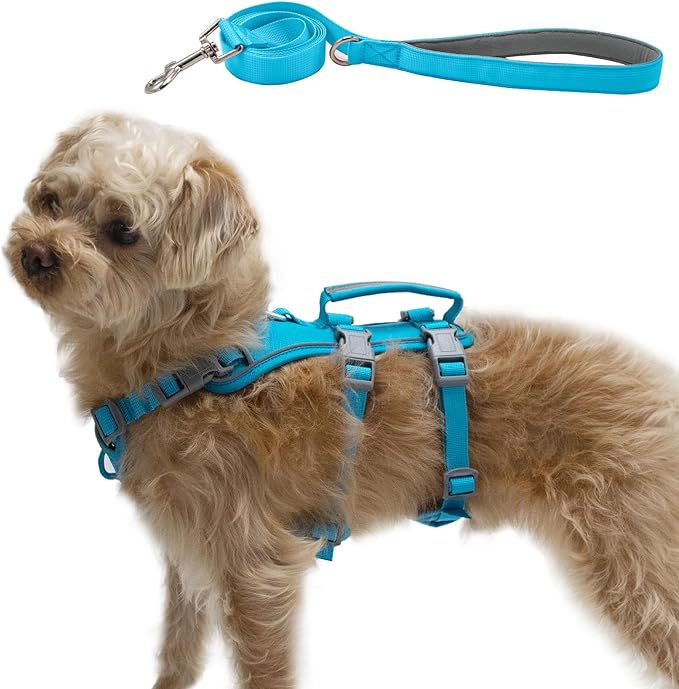 Escape Proof Dog Harness and Leash Set, Lightweight Dog Harness with Lift and Assist Handle, No Pull Reflective Pet Vest for Small Medium Dogs, Ideal for Puppy Walking and Training (Blue, S)