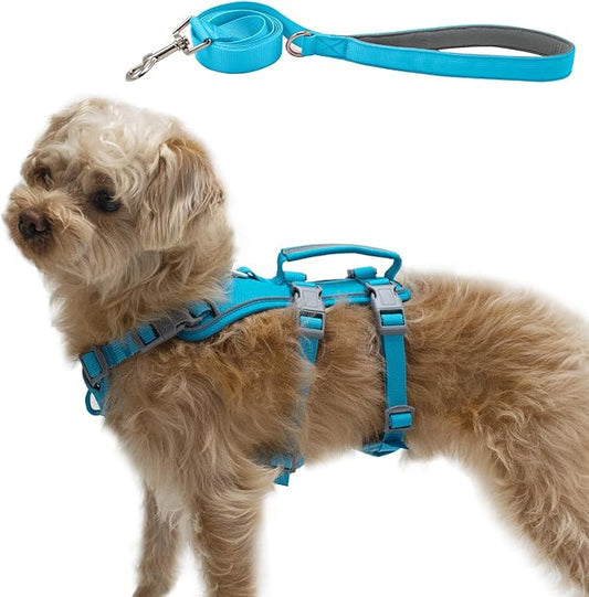 Escape Proof Dog Harness and Leash Set, Lightweight Dog Harness with Lift and Assist Handle, No Pull Reflective Pet Vest for Small Medium Dogs, Ideal for Puppy Walking and Training (Blue, M)