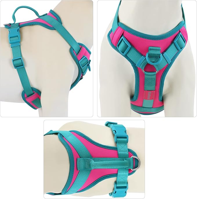 No Pull Dog Harness Adjustable Soft Padded Pet Vest with Control Handle Adorable Daily Harness for Dogs（Pink Peacock S）