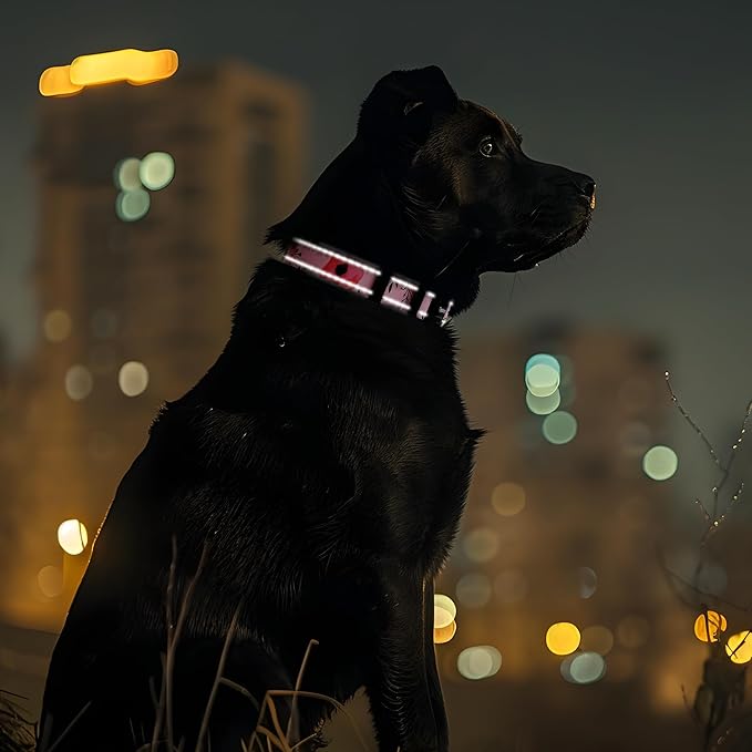 Tpotato Reflective Combination Pattern Girl Dog Collar for Puppy Small Medium Large Breed Dogs,Female Cute Floral Designer Dog Collars,Adjustable Soft Nylon Pet Collar,Quick Release Dog Collar M