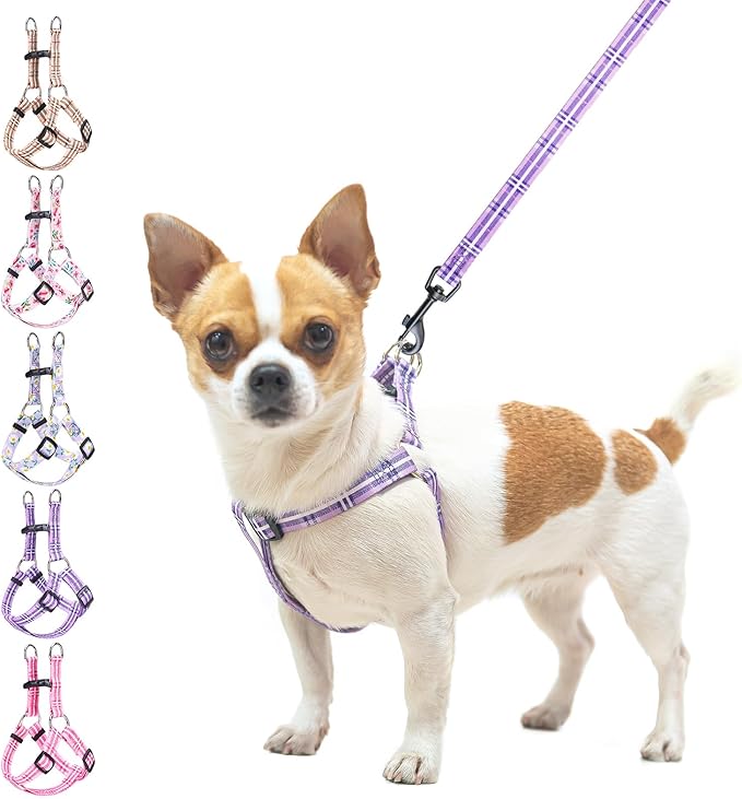 BEAUTYZOO No Pull Dog Harness and Leash Set - Adjustable Step-in Puppy Harness for Small Medium Large Dogs, Escape Proof Soft Nylon Vest with Double D Ring for Walking Running Training, Purple XS