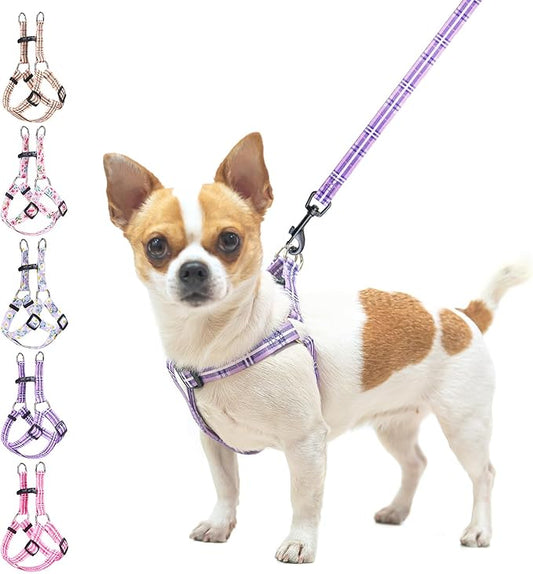 BEAUTYZOO No Pull Dog Harness and Leash Set - Adjustable Step-in Puppy Harness for Small Medium Large Dogs, Escape Proof Soft Nylon Vest with Double D Ring for Walking Running Training, Purple XS