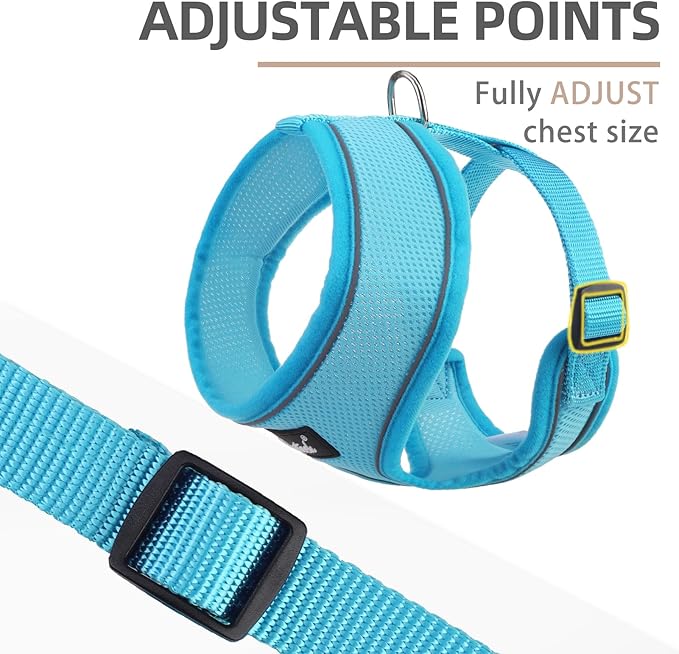 PUPTECK Soft Mesh Dog Harness and Leash Set Pet Puppy Cat Comfort Padded Vest No Pull Harnesses, Solid LightBlue, M