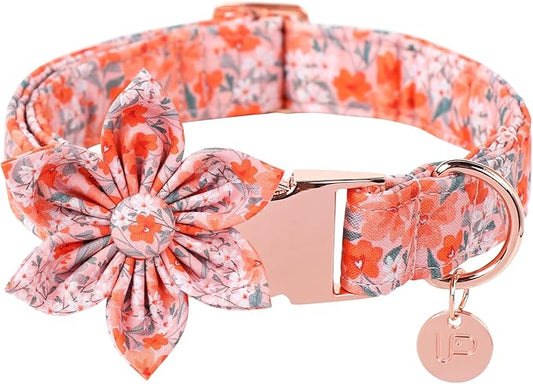Dog Collar with Flower, UP URARA PUP Cute Orange Flower Dog Bowtie Collar, Detachable Flower Bow Puppy Collar with Metal Buckle for Dogs,M