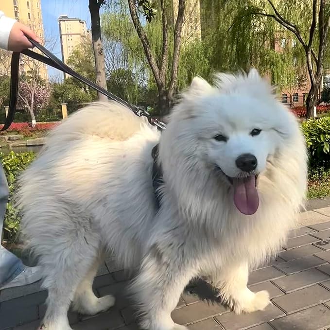 Joytale Dog Leash Heavy Duty for Large Dogs That Pull, Double Handle for Traffic Control, Double-Sided Reflective Leashes for Large Medium Dogs Night Safety, 4FT, Black