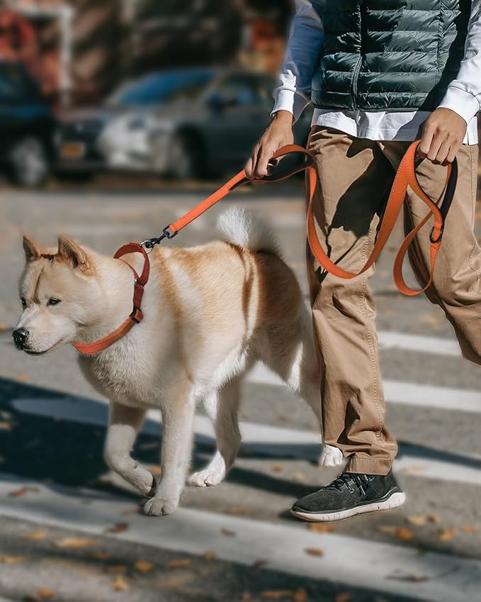 FunTags Reflective Martingale Collar for Dogs, Quick Release Buckle, 5FT Double Handle Dog Leash Padded, Dog Collar and Leash Set, Adjustable for Medium Dogs (Orange, M)