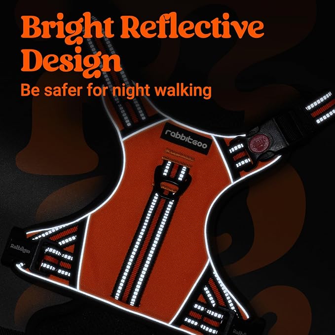 rabbitgoo Dog Harness Medium Sized, No Pull Pet Harness with Soft Padded Handle, Adjustable Reflective Vest with 3 Buckles, Easy Walking Harness with 2 Leash Clips, Orange, XL