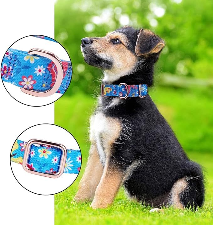 Rhea Rose Ctue Girl Dog Collars Blue Flower and Butterfly Pattern with Metal Buckle for Puppy Small Medium Large Dogs Small