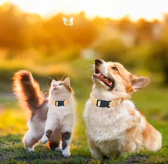 Tunkoo Orange Plaid Dog Collar Premium Cotton - Adjustable Collar with Strong Plastic Bucle Gifts for Small Medium Large Girl Boy Dogs, M