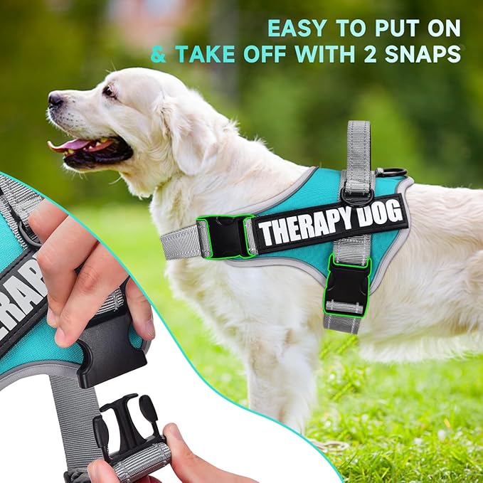 Dog Vest Harness and Leash Set, Animire Reflective Service Dog Vest with 10 Patches, 3 Rings No Choke Pet Vest for Leash Placement, in Training Dog Harness for Small Medium Large Dogs(Teal,XL)