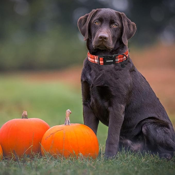 DOGWONG Cotton Dog Collar, Heavy-Duty Fall Dog Collar Durable Soft Fabric Pet Dog Collars Cute Halloween Puppy Necklace for Small Medium Large Dogs