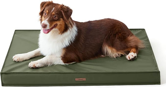 Lesure Outdoor Waterproof Dog Bed Medium Size Dogs, Orthopedic Egg Crate Foam Pet Bed with Oxford Fabric Surface and Removable Washable Cover, Pet Mat 30''x20'', Green