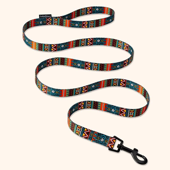 CollarDirect Aztec Dog Leash Nylon Tribal Pattern Cat Pet Leashes for Small Medium Large Dogs Puppy Lead 5 FT Long for Walking (Ethnic Teal, S, New)