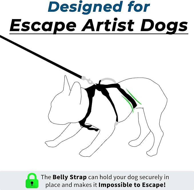 Escape Proof Dog Harness and Leash Set, Lightweight Dog Harness with Lift and Assist Handle, No Pull Reflective Pet Vest for Small Medium Dogs, Ideal for Puppy Walking and Training (Black, S)