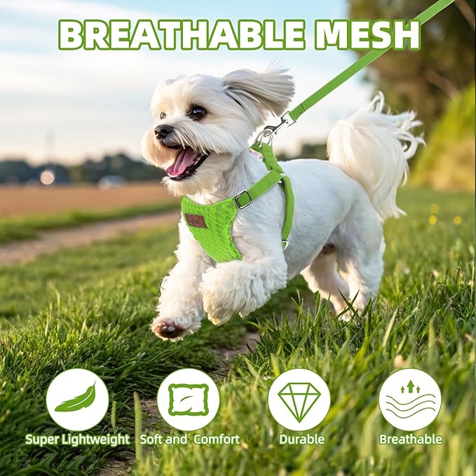 PUPTECK Dog Harness and Leash Set Small Sized, Step-in Cute Puppy Harness, Soft Lightweight Padded Vest, Escape Proof No Pull Pet Harnesses Easy for Walking, Green, XS