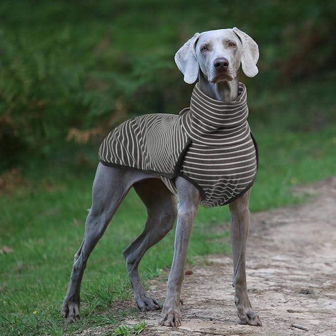 ROZKITCH Dog Winter Coat Soft Pullover Pajamas, Pet Windproof Warm Cold Weather Jacket Vest Cozy Jumpsuit Apparel Outfit Clothes for Small, Medium, Large Dogs Walking Hiking Travel Sleep Stripe 2XS