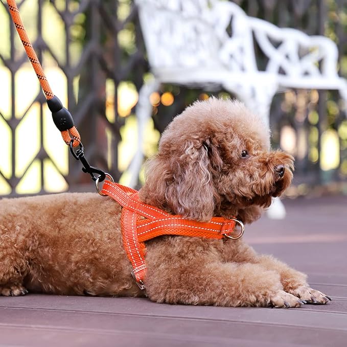 Plutus Pet No Pull Dog Harness with Breathable Mesh Padded, Adjustable Reflective Escape Proof Dog Harness, Quick Fit Dog Vest Harness for Small Medium Large Dogs(XXS, Orange)