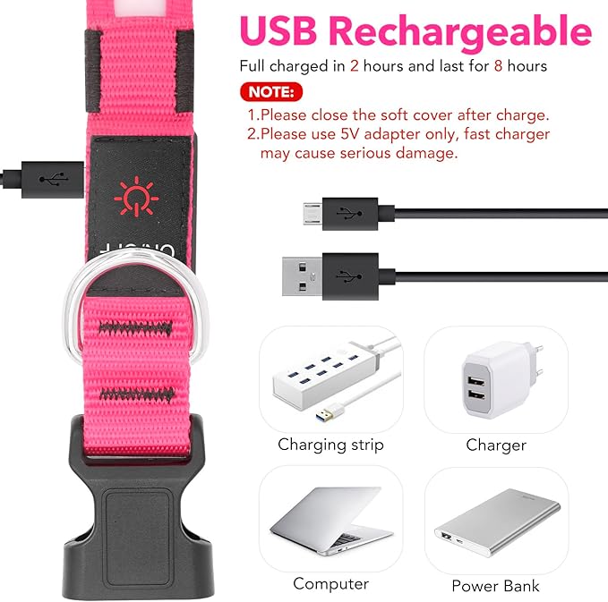 Vizpet LED Dog Collar, Light Up Dog Collar Adjustable USB Rechargeable Super Bright Safety Light Glowing Collars for Dogs (Medium, Pink)