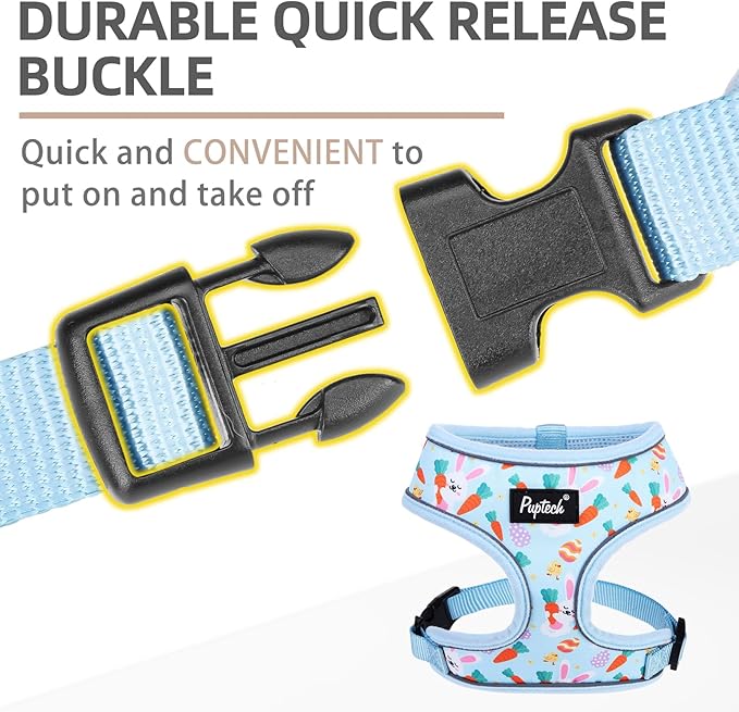 PUPTECK Soft Mesh Dog Harness and Leash Set Pet Puppy Cat Comfort Padded Vest No Pull Harnesses, Easter Blue, S
