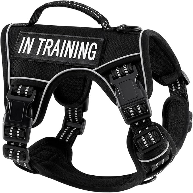 Extra Small Dog Harness, No-Pull Pet Harness with 2 Leash Clips, Adjustable Soft Padded Dog Vest, Reflective No-Choke Pet Oxford Vest with Easy Control Handle for XSmall Dog Breeds, Black, XS