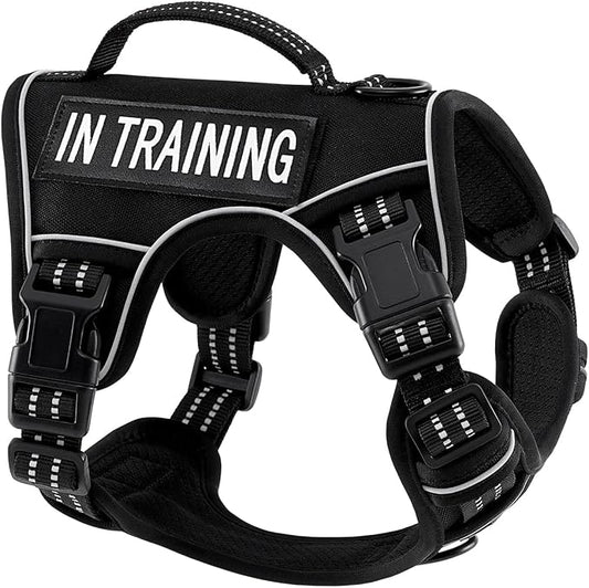 Extra Small Dog Harness, No-Pull Pet Harness with 2 Leash Clips, Adjustable Soft Padded Dog Vest, Reflective No-Choke Pet Oxford Vest with Easy Control Handle for XSmall Dog Breeds, Black, XS