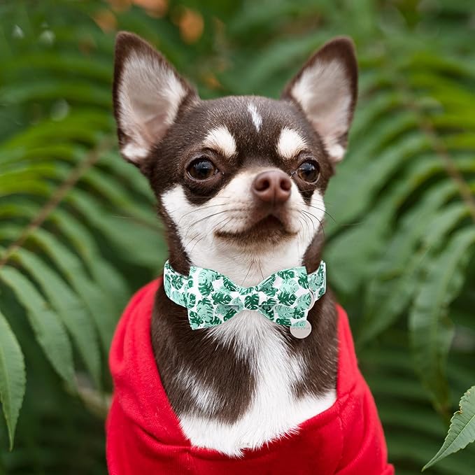 Summer Bow Tie Dog Collar, Comfortable Cotton Dog Collar with Bowtie for Large Dog Girl Boy, Hawaiian Dog Collar with Metal Buckle, Green, L