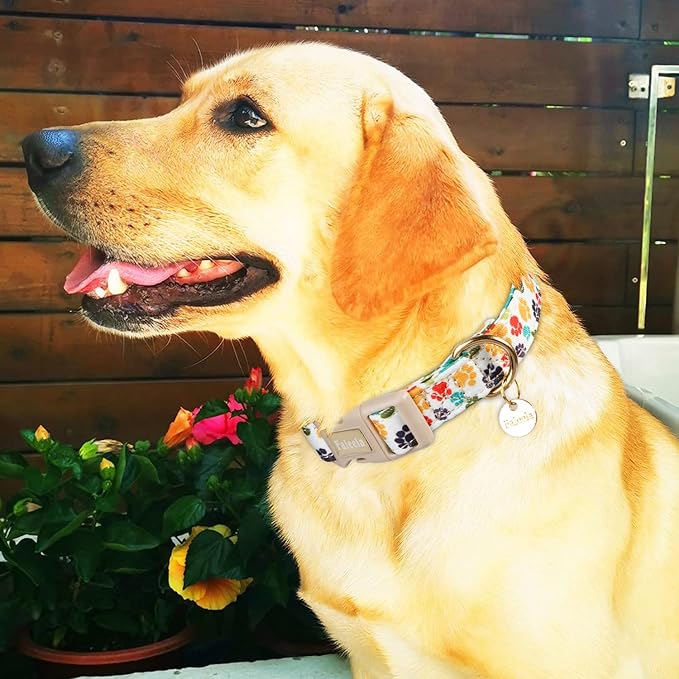 Faleela Dog Collar - Cute & Comfy Cotton Pet Collar, Adjustable Lightweight Design with Quick-Release Buckle, for Small, Medium & Large Dogs - Multiple Styles Available (Footprint, Large)