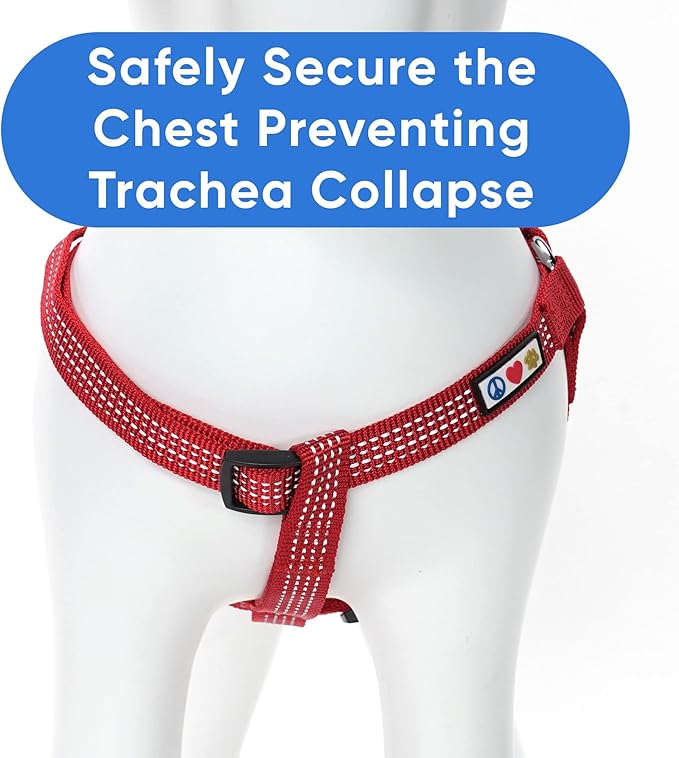 Pawtitas Medium Dog Harness - Red, Reflective, Adjustable Step-in Harness for Senior Dogs to Puppies