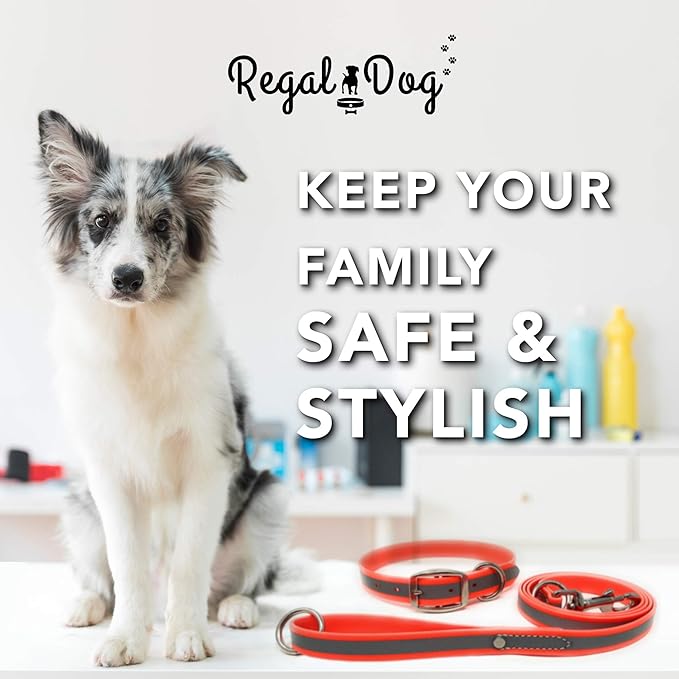 Regal Dog Products Medium Orange Reflective Dog Collar and Leash Set - Waterproof Biothane Dog Collar with Heavy Duty Double Buckle, D Ring & 5ft Leash - Other Size for Medium & Large Dogs