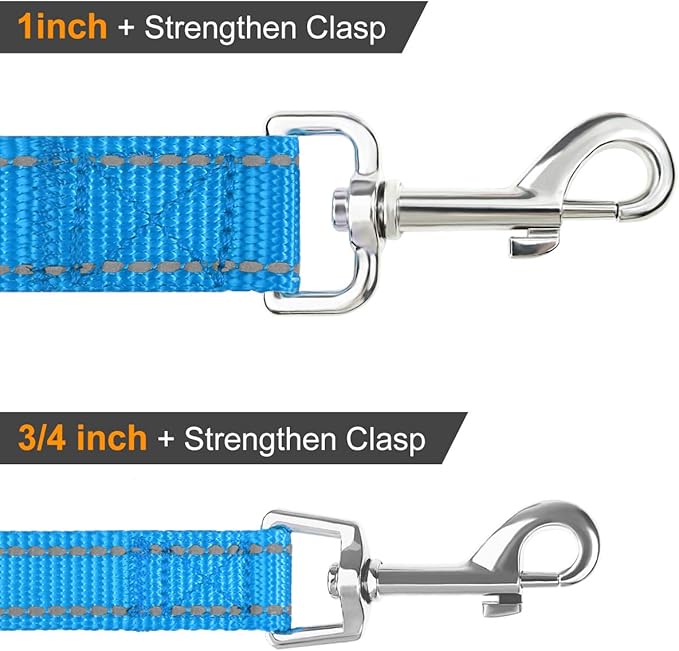 Joytale Double-Sided Reflective Dog Leash, 6 FT/5 FT/4 FT, Padded Handle Nylon Heavy Duty Leashes for Small & Medium Dogs Walking, Sky Blue, 4FT